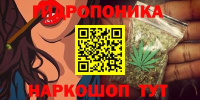 СК Пушкино