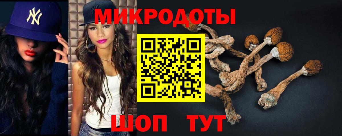 Галлюциногенные грибы мухоморы Воронеж